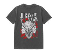 (M, Black) Jurassic Park Unisex Adult Isla Nublar Rose Vintage Wash T-Shirt