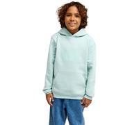 (M, Blue Haze) Quiksilver Kids Comp Logo Pullover Hoodie