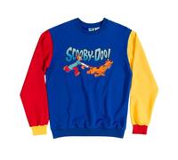 (M, Blue) Scooby Doo Unisex Adult Runaways Colour Block Sweatshirt