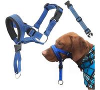 (M, Blue) SNQTV-Dog Head Halter With Safety Strap, Dog Head Collar With Reflective Strap, No-pull Dog Collar Adjustable Dog Harness Training