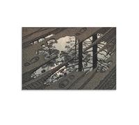 M.C. Escher Puddle Wall Art Poster (2) Painting On Canvas Wall Art Poster Scroll Picture Print Walls Decor Home Posters 20x30inch(50x75cm)
