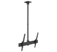 M Ceiling Mount Pro TV Mount, 42" to 75" - 7350073735778