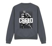 (M, Charcoal) Creed Unisex Adult Final Round Sweatshirt