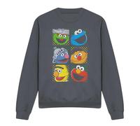 (M, Charcoal) Sesame Street Unisex Adult Characters Sweatshirt