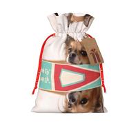 M Christmas Bags - Papillon in the box Print Holiday Drawstring Gift Pouches for Xmas, Birthday, Wedding, Party Favors