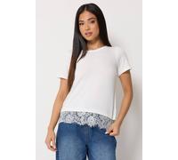 M&co Petite Lace Hem T Shirt In White White
