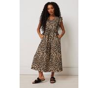 M&Co Women's Petite Leopard Print Dress in Brown | Size: 12 M&Co Brown 12