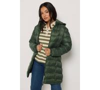 M&Co Women's Petite Padded Hooded Coat in Dark Green | Size: 12