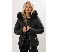 M&co Petite Padded Puffer Jacket In Black Black 10