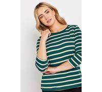 M&co Striped Slash Neck Cotton T-Shirt In Green Green 26-28