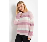 M&Co Womens Petite Striped Space Dye Jumper - Women's Pink