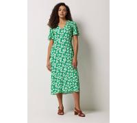 M&Co Women's Daisy Print Midi Tea Dress in Green | Size: 20 M&Co Green 20