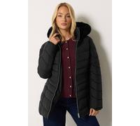M&Co Women's Glam Padded Coat in Black | Size: 20