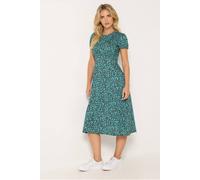 M&Co Women's Petite Ditsy Floral Midi Dress in Green | Size: 14