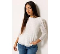 M&Co Women's Petite Lace Top in Ivory | Size: 10