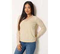 M&Co Women's Petite Lace Trim V-Neck Jumper in Cream | Size: 16/18