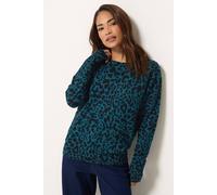 M&Co Women's Petite Leopard Print Jumper in Teal | Size: 8/10