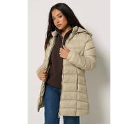 M&Co Women's Petite Padded Hooded Coat in Natural | Size: 6
