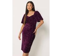 M&Co Women's Petite Sequin Velvet Square Neck A-Line Dress in Purple | Size: 18 M&Co Purple 18