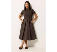 M&Co Women's Petite Short Sleeve Cotton Midi Dress in Chocolate | Size: 12 M&Co Chocolate 12