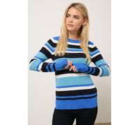 Petite Stripe Crew Neck Jumper M&Co Blue 8-10