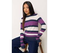 M&Co Women's Petite Stripe Crew Neck Jumper in Purple | Size: 12-14 M&Co Purple 12-14