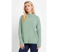 Petite Turtle Neck Jumper M&Co Green 8-10
