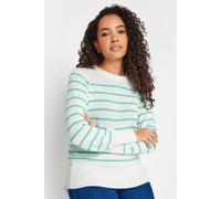 Stripe Crew Neck Jumper M&Co Green 18-20
