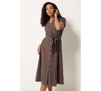 M&Co Brown Stripe Midi Shirt Dress - Women's