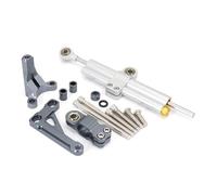 M Compatible With CB1000R 2018-2022 2023 Motorcycle Stabilizer Steering Damper Mounting Bracket Support Kit Accessories Universal Motorcycle damper(Silver-Gray)