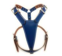 M&D Cute Plain Blue Medium Leather Dog Harness fits any dog breed like French Bulldog, Pug, Jack Russell and much more