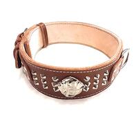 M&D Heavy Duty 2.5" Brown Dog Collar Studded Design with American Bulldog Head Motif (XL Size 30" - 35")