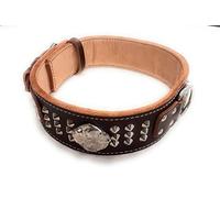 M&D Heavy Duty 2.5" Dark Brown Dog Collar Studded Design with American Bulldog Head Motif (M Size 20" - 25")