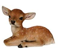 M.E.G Cards & Gifts Vivid Arts - Real Life Fallow Deer Home or Garden Decoration (XRL-DEER-F)