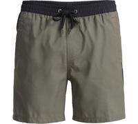 (M, Grape Leaf Holmes) Quiksilver Mens Everyday Holmes Volley 16" Swim Shorts