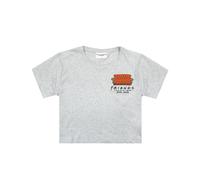 (M, Grey Marl) Friends Womens/Ladies Central Perk Sofa Crop T-Shirt