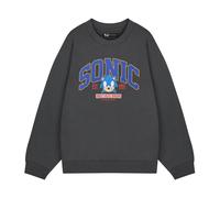 (M, Grey) Sonic The Hedgehog Mens World's Fastest Sweatshirt
