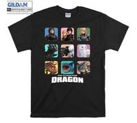 (M) How To Train Your Dragon Characters Toothless T shirt T-shirt