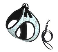 M Leash Vest Dog Harness - Small Sized Chemistry Print Print Pet Leash SetReflective for Outdoor and Dog Walking