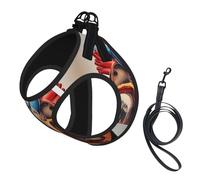 M Leash Vest Dog Harness - Small Sized Human Anatomy Heart Chart Print Pet Leash SetReflective for Outdoor and Dog Walking
