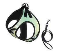 M Leash Vest Dog Harness - Small Sized Married Couple Walking on The Beach Print Pet Leash SetReflective for Outdoor and Dog Walking