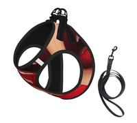 M Leash Vest Dog Harness - Small Sized Red Lips Print Pet Leash SetReflective for Outdoor and Dog Walking