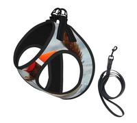 M Leash Vest Dog Harness - Small Sized Water Skiing fox Squirrel Print Pet Leash SetReflective for Outdoor and Dog Walking