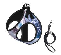 M Leash Vest Dog Harness - Small Sized wolves family Print Pet Leash SetReflective for Outdoor and Dog Walking