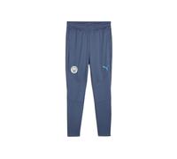 Puma Manchester City Fc Training Pants
