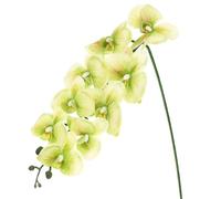 M METERXITY 1-Pack Artificial Orchid Flowers 9 Large Petals 37 Inch Faux Phalaenopsis Silk Bouquets Real Touch Light Green Fake Orchids for Home/Wedding/Christmas/Party/Garden Office