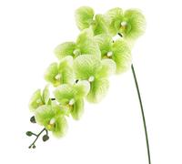 M METERXITY 1-Pack Artificial Orchid Flowers 9 Large Petals 37 Inch Faux Phalaenopsis Silk Bouquets Real Touch Dark Green Fake Orchids for Home/Wedding/Christmas/Party/Garden Office