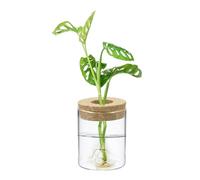 M METERXITY 1 Pack Glass Planter Terrarium with Wooden Cover, Desktop Plant Propagation Station Clear Vase for Hydroponic Plants Propagation/Home Garden Decor/Plant Lover [2.56'' x 3.94'']