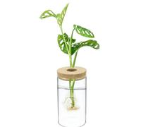 M METERXITY 1 Pack Glass Planter Terrarium with Wooden Cover, Desktop Plant Propagation Station Clear Vase for Hydroponic Plants Propagation/Home Garden Decor/Plant Lover [3.35'' x 5.91'']