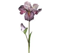 M METERXITY 1-Pack WHite Brown Artificial Iris Flowers with Flower Bud,17.7 Inch Faux Iris PU Bouquets Real Touch Faux Flowers for Home/Wedding/Christmas/Party